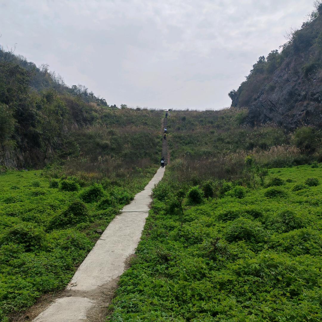 川哥要改行