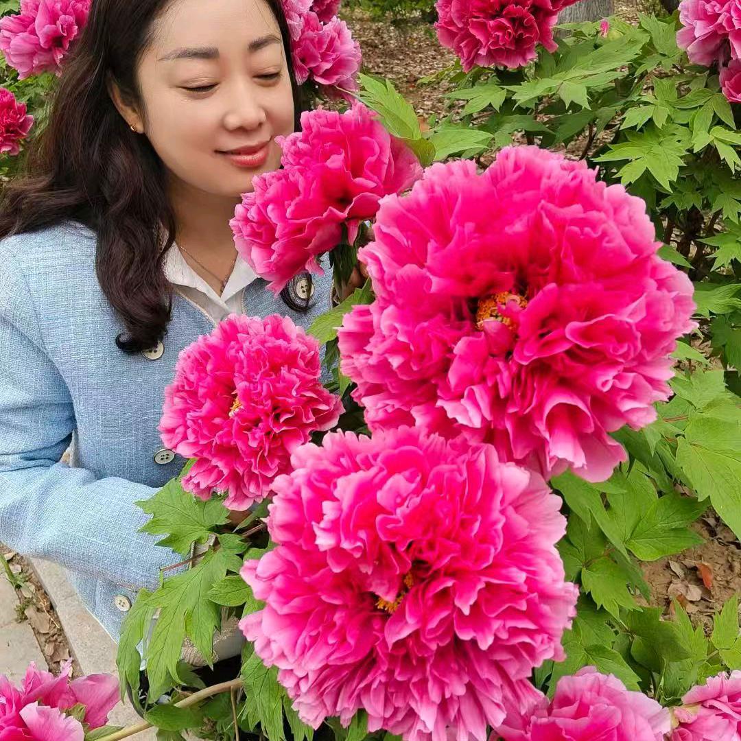 秘制卤肉