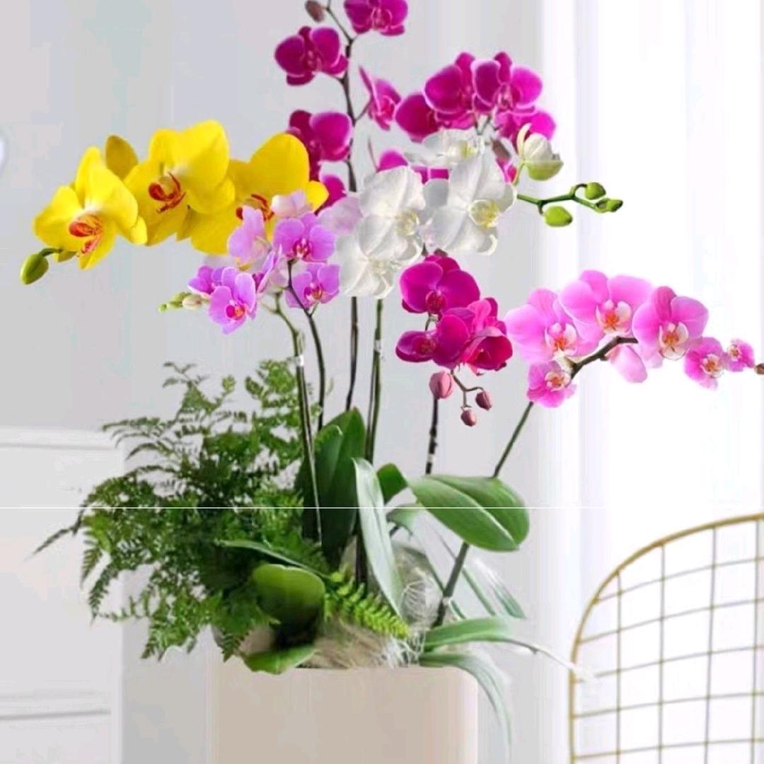 专业上膜  棉被   护后坡