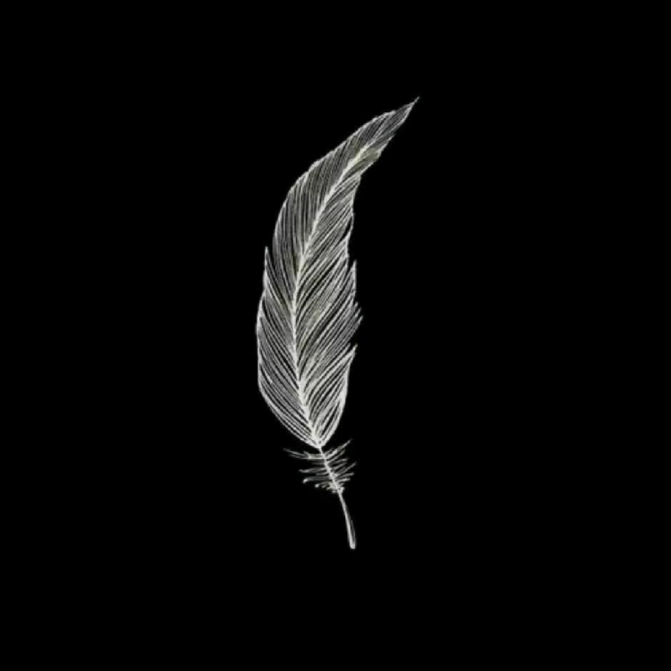 隔壁老王逗你玩