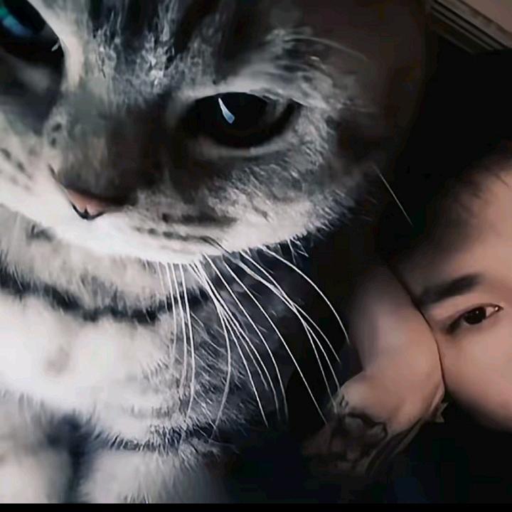 生活的高手