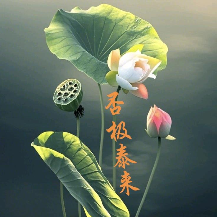 ㊣🖤☪️烨瑱☪️ 否极泰来