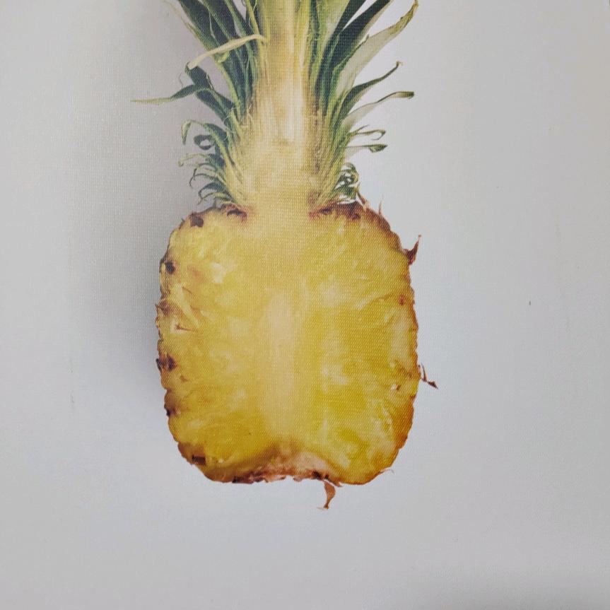 老森林