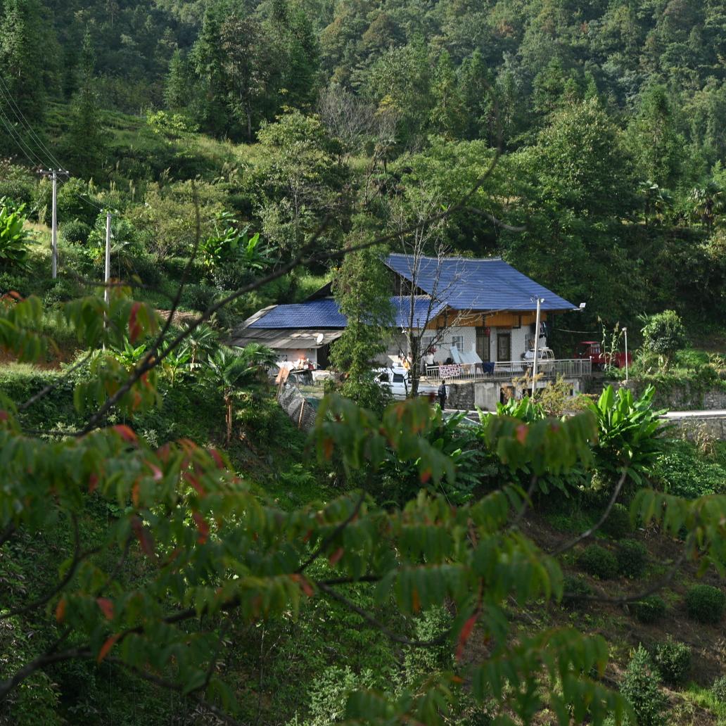 云顶小院