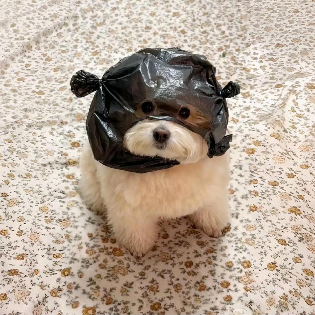 筷。