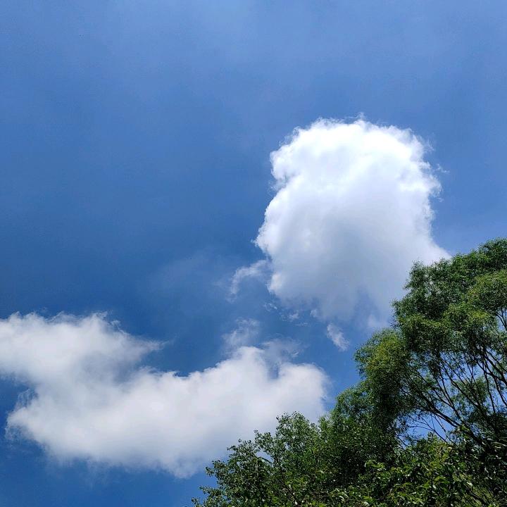 㞮孞
