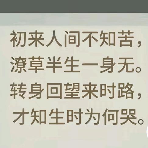 轻舟已过万重山（流浪者）