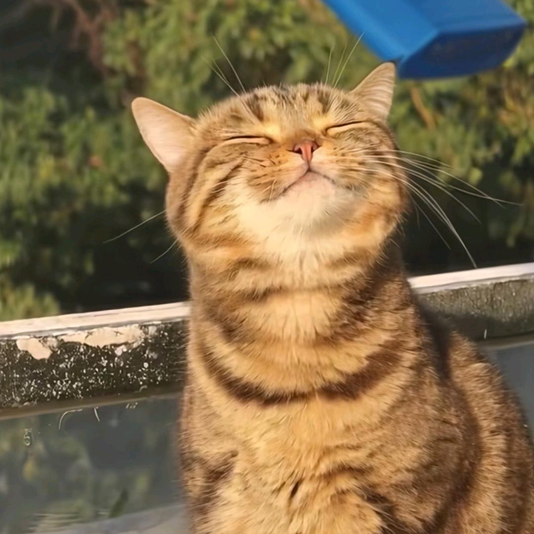 果霸
