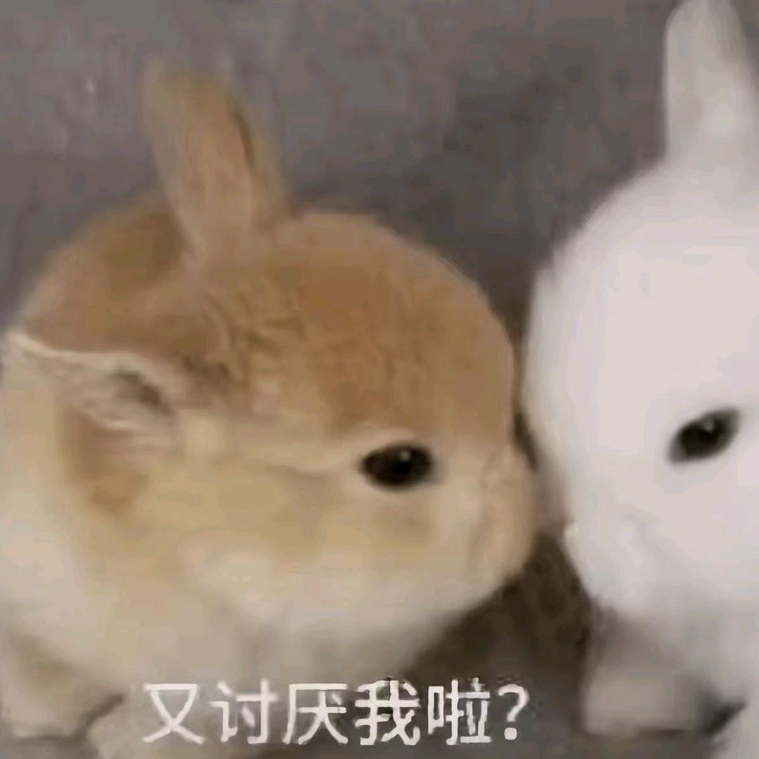 真希望我是你喜欢的那种女孩头像