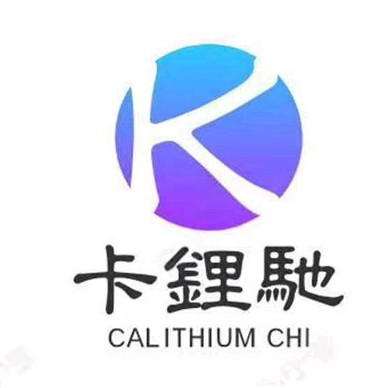 郑州专业驻车锂电厂家