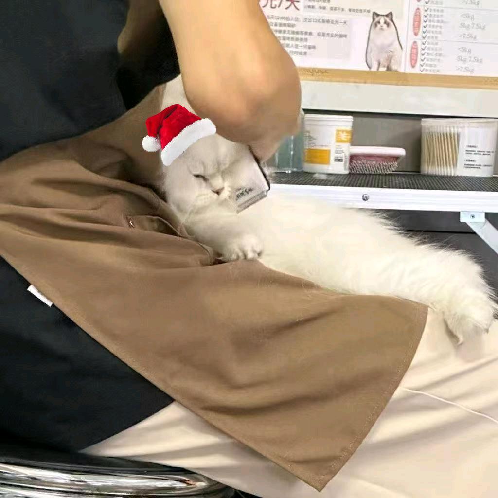 我每天要吃十包辣条