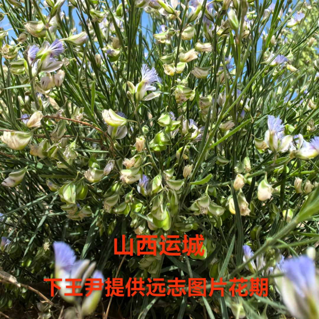 稷山县下王尹明建农资门市部