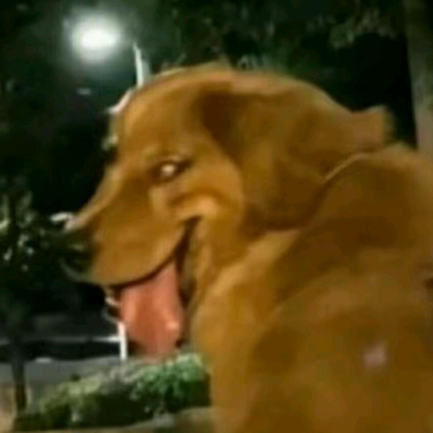 洁优享