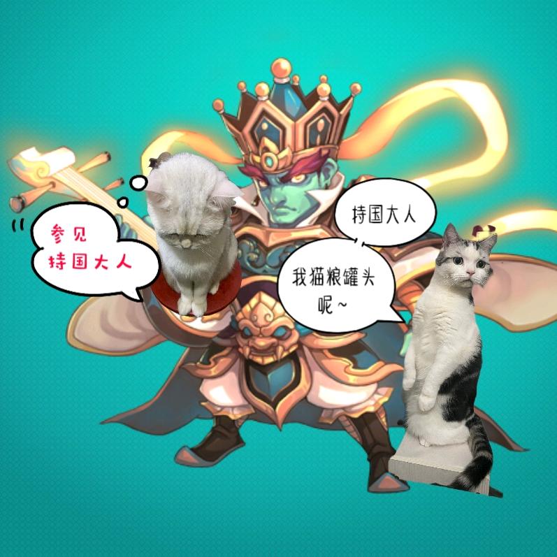 浪里小白条