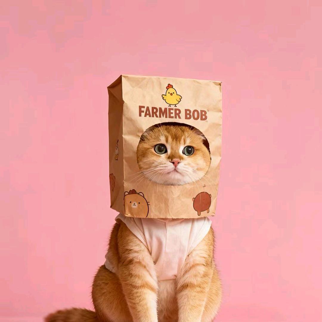 坚持看完一本书打卡