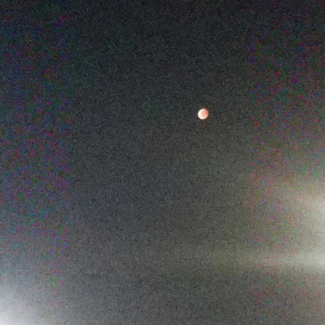 ૮₍◜ෆ◝.₎ა悠