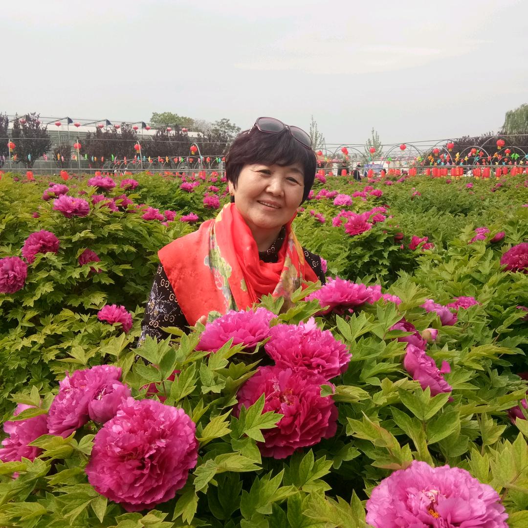 yingying