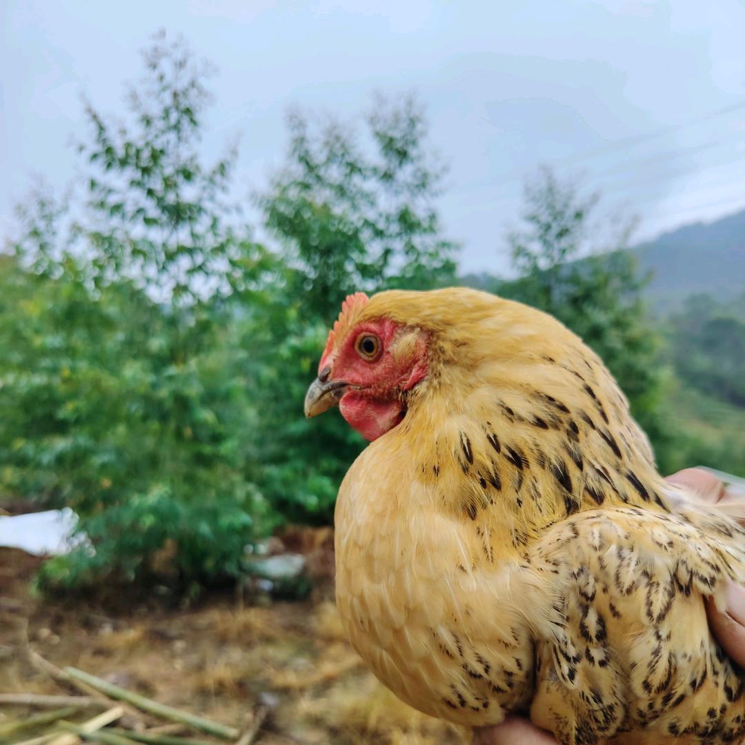 一个👣(„ಡωಡ„)一个(❁´◡`❁