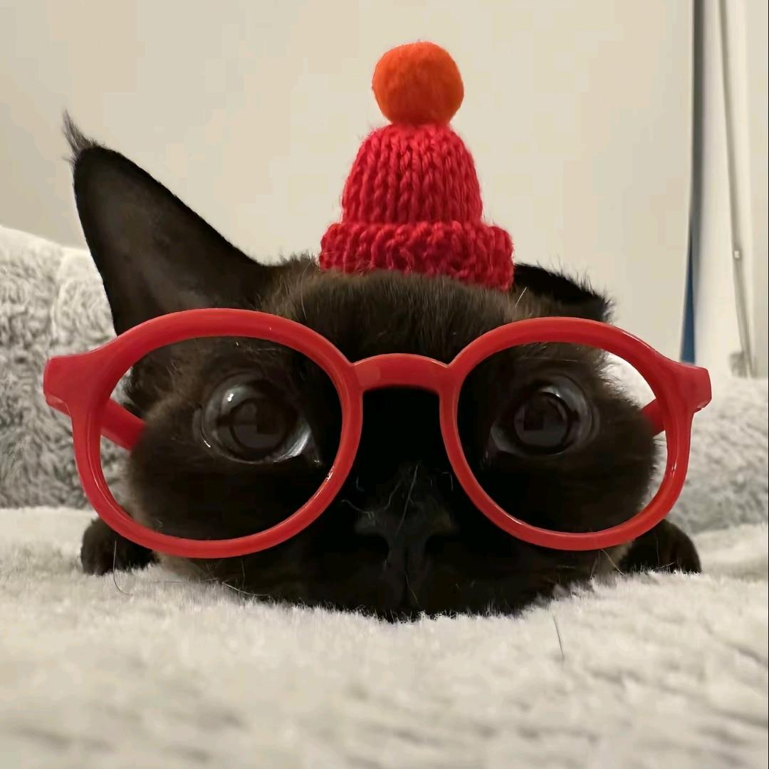 遇到困难睡大觉