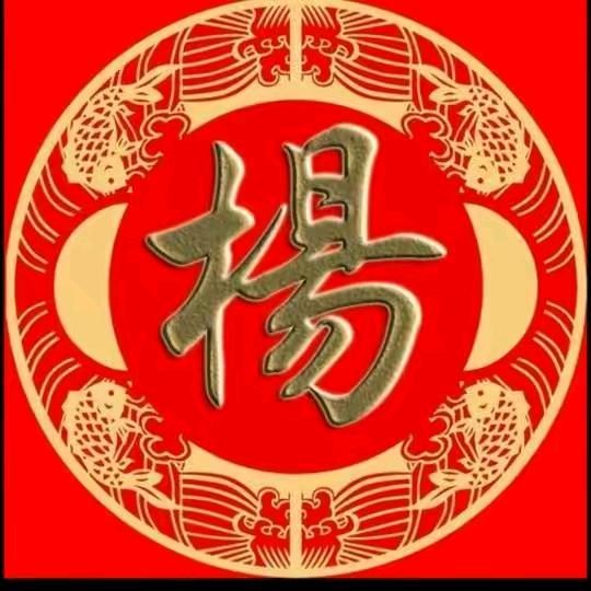 小杨哥