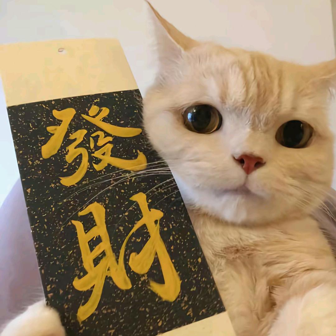 老板和我（跨境temu版）