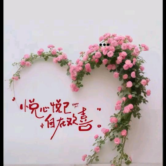 往后~余生☺️