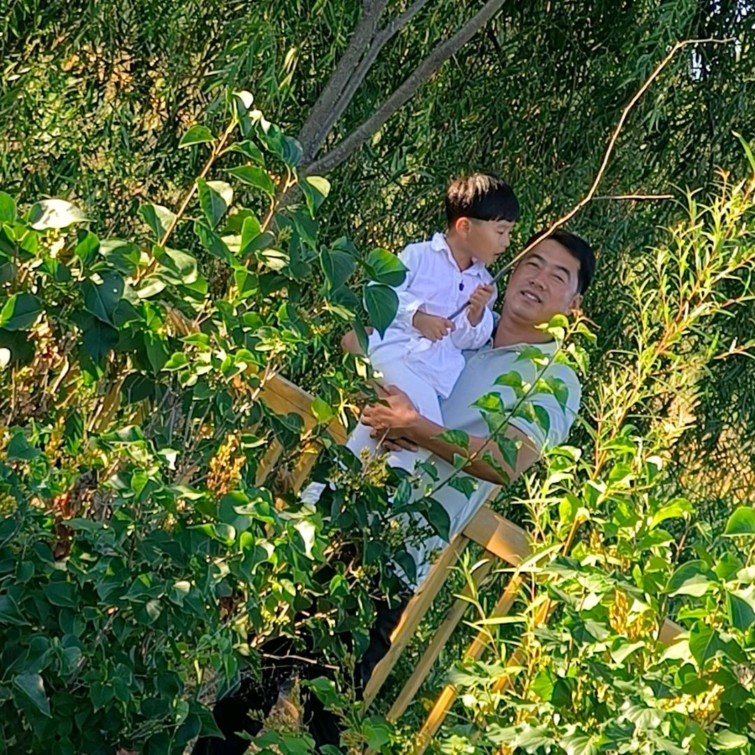 竹竹优选