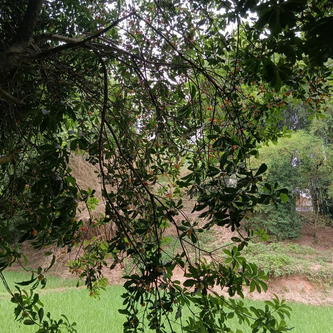 《《《今生@有缘》