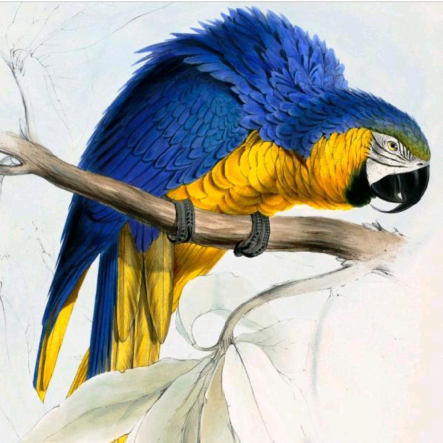 拱门免费，生日条幅、升学条幅定做各种条幅