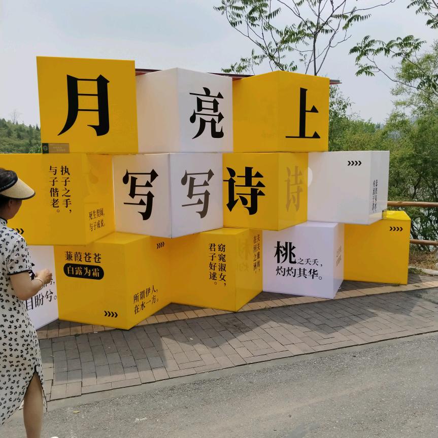 雁南飞