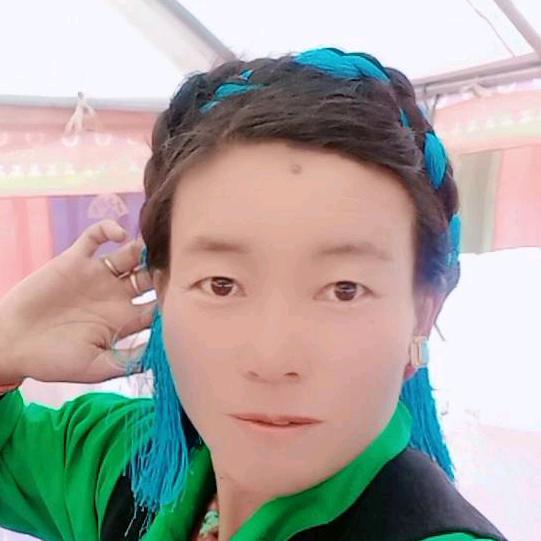 藏家女孩，