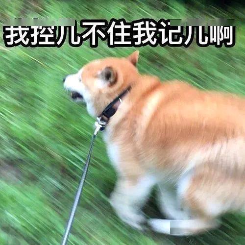 重生之我在电信当牛马