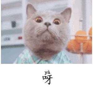 ♡好再♡