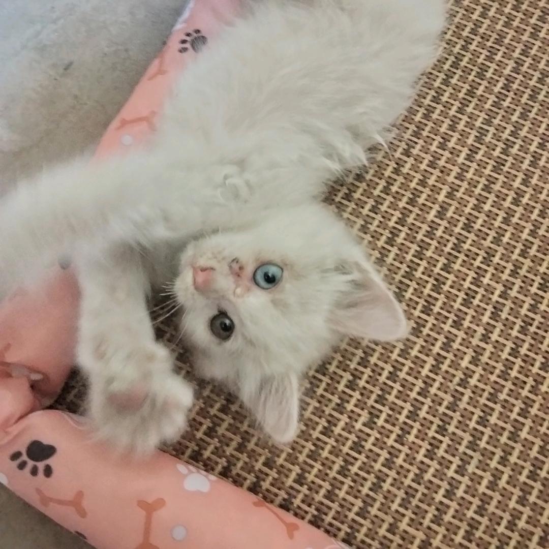 于与鱼