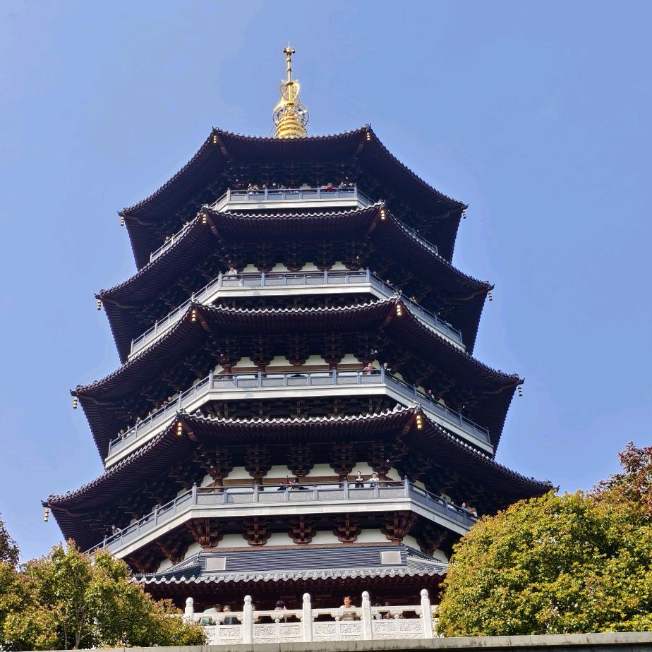 Yang杨Yang