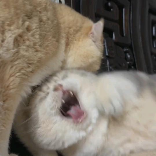 慢一拍