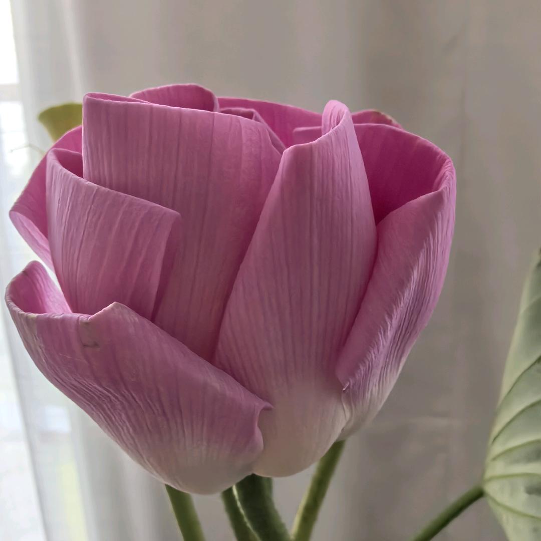 脱旧换新