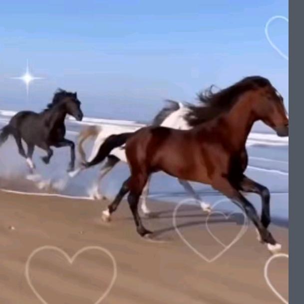王向日葵