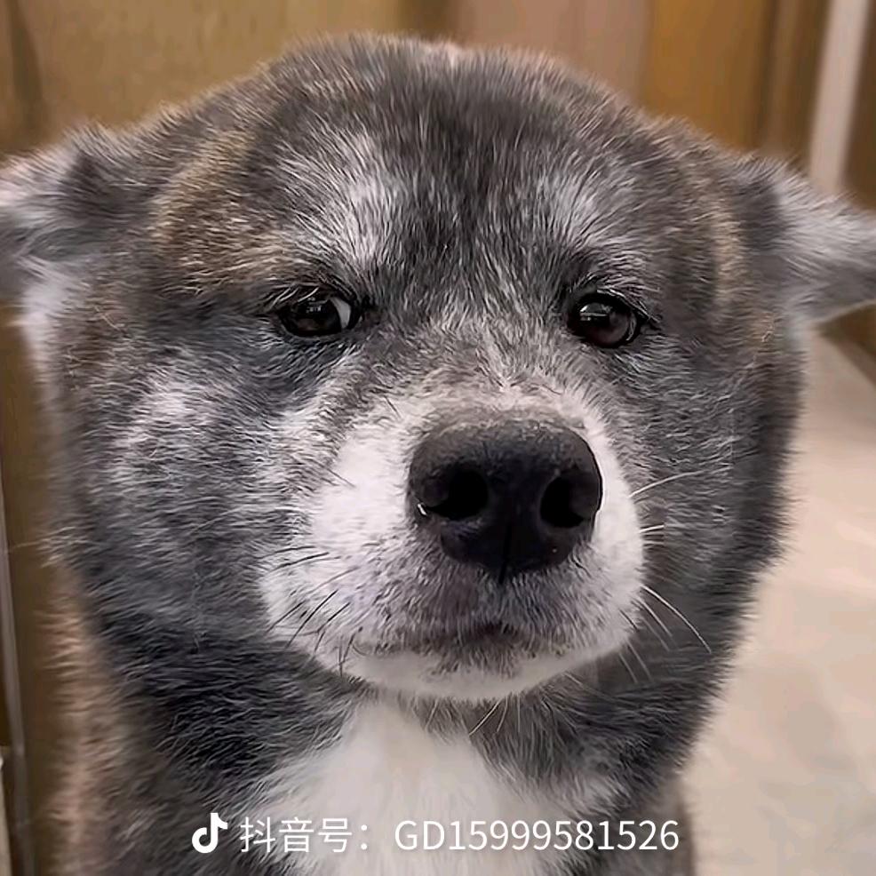 𝙎𝙞𝙇𝙆丝叔