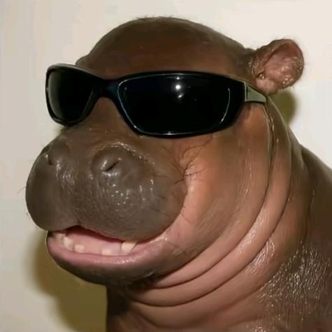 社会主义核心价值观