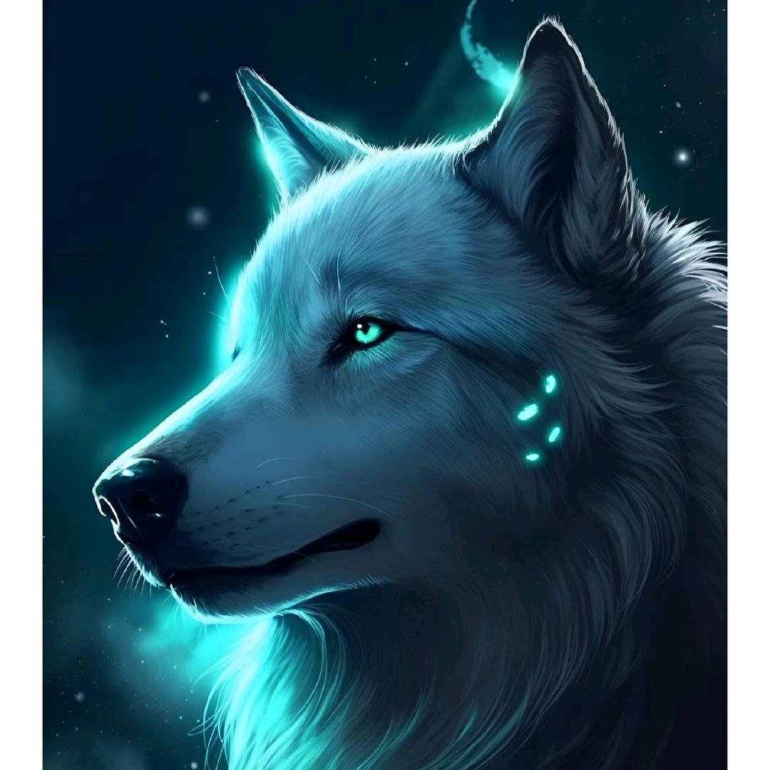 天狼🐺啸月