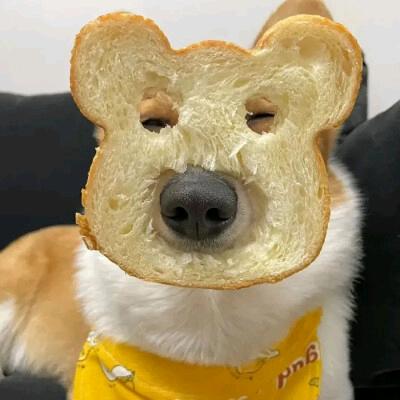 稷