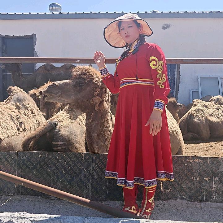 耒阳新疆骆驼奶粉总代理王小娥