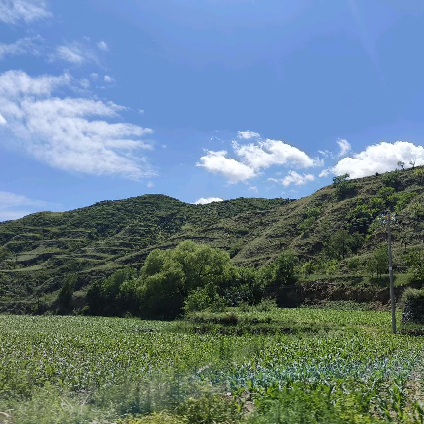 没文化想不出来叫啥