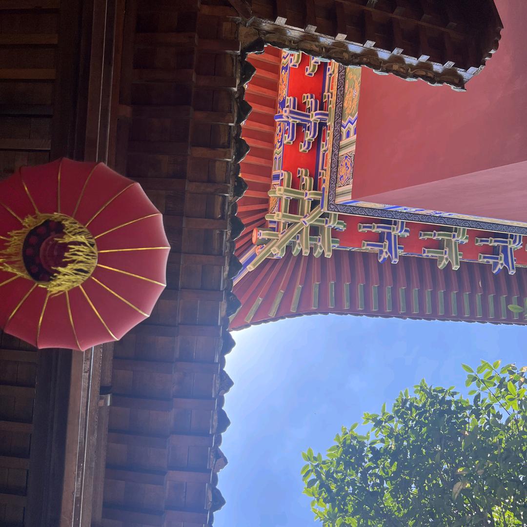 风筝🪁