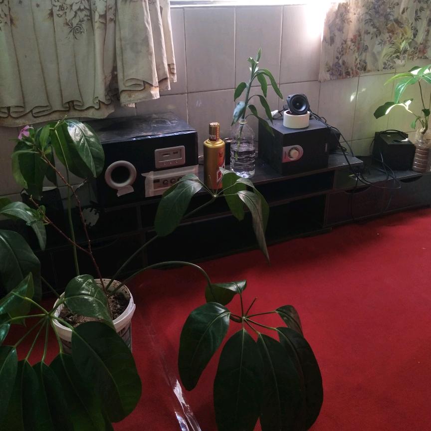 朱，钦州桂NCN870