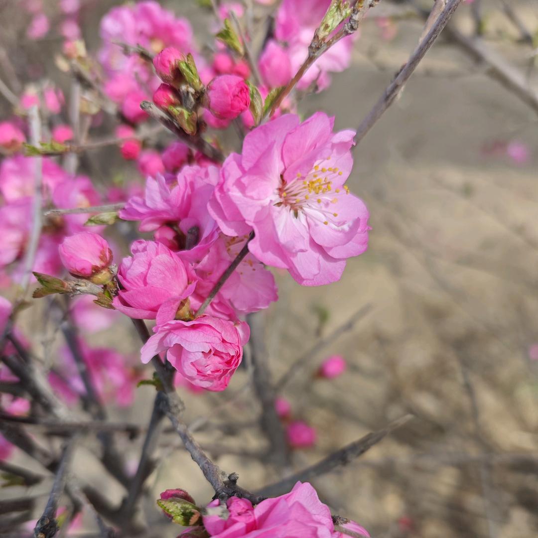 小张生活日常🎀