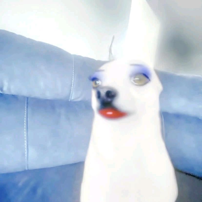 林火火备考（卧槽我不要学美术