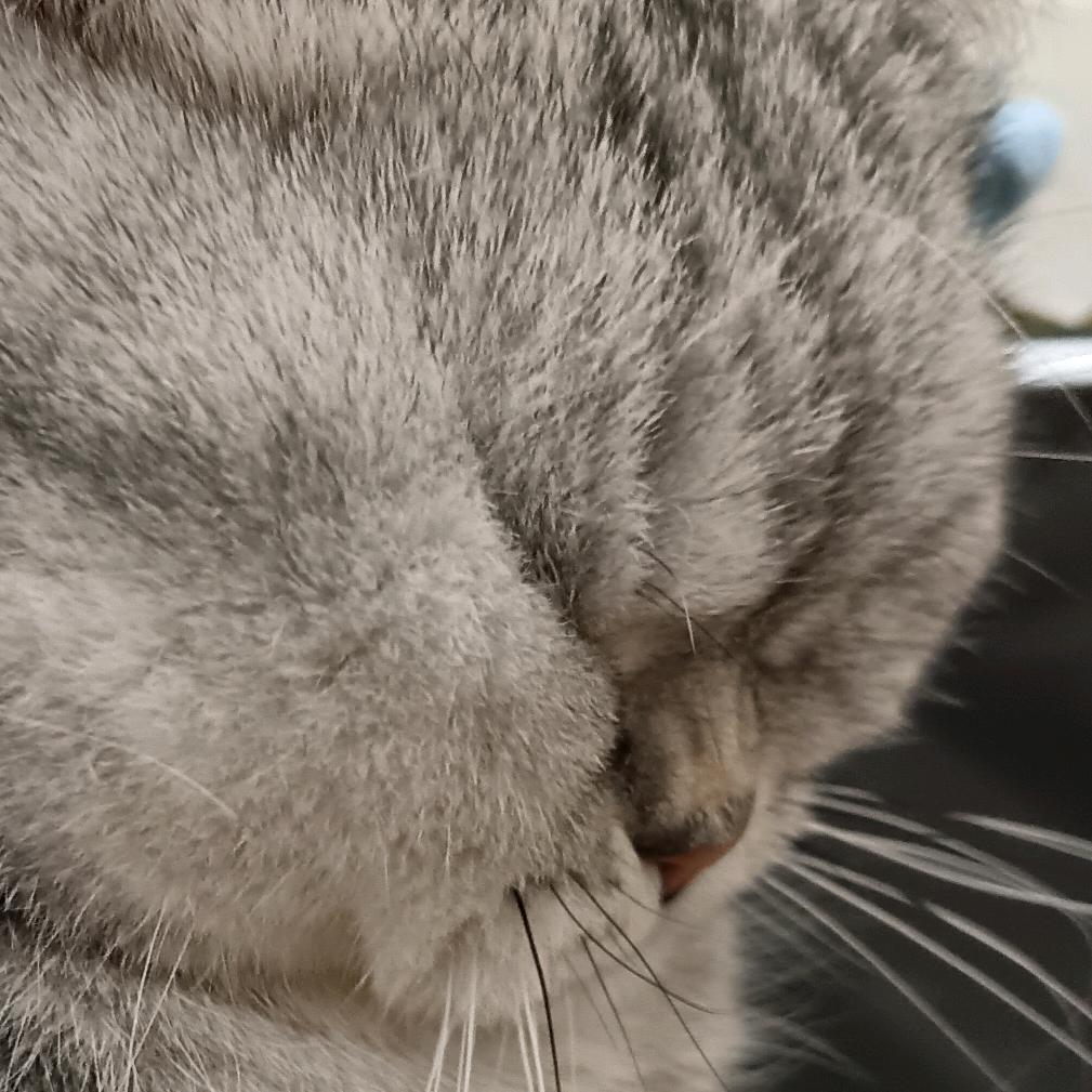 不知道起什么名字好