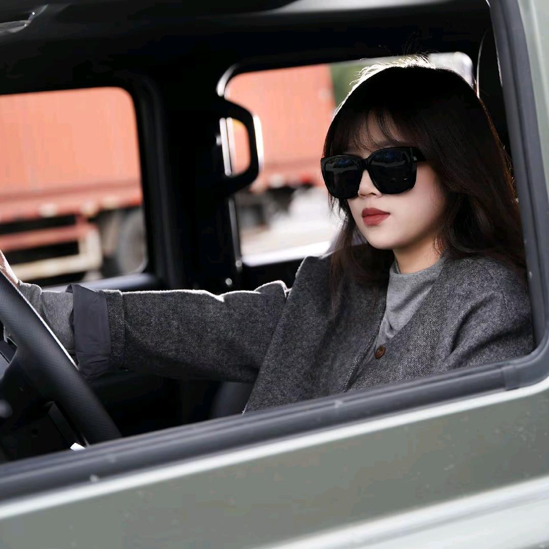 新能源- 汽车玲